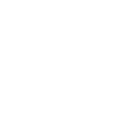funded by the eu white logo