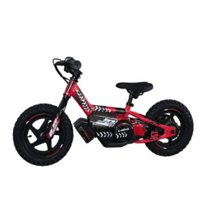 BICICLETA-BJR-12-imagen1