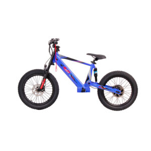 BICICLETA-BJR-ELECTRA-20-imagen1