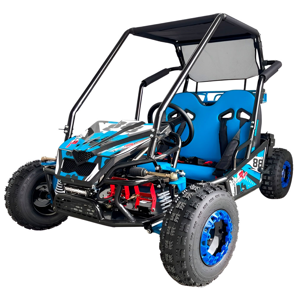 BUGGY BJR REX 125CC AUTOMÁTICO - Imagen 2