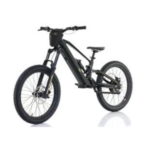 Bicicleta-electrica-sin-pedales-1000W-48V-RFN-ZIP-PRO-24-01